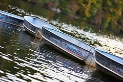 alumacraft boats